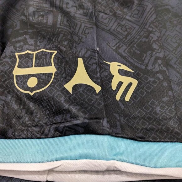 Argentina Messi Black Jersey La Pulga #10 Special Edition Version - Picture 4 of 8